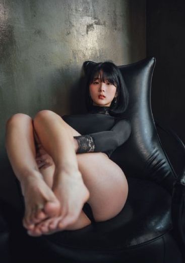 性欧美动物x_DVD手机免费观看完整